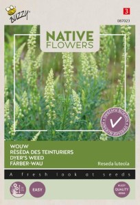 semená rezeda, semená kvetov,  Reseda luteola